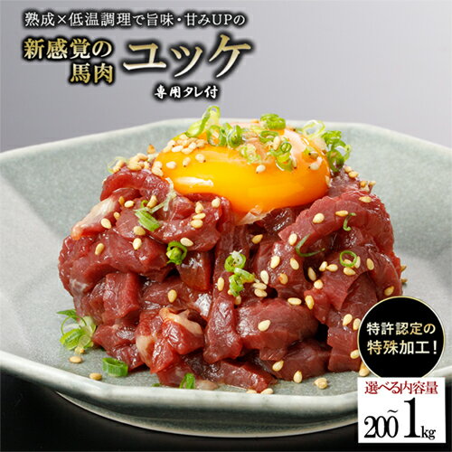 【ふるさと納税】レビューキャンペーン対象 選べる内容量 出荷月指定 馬肉 ユッケ 500g 1kg 50gパック 特許製法 氷温熟成 低温調理 焼いたらもっと美味しい レア 希少 細切り 小分け 食べきり 専用タレ付 真空パック 専門店 熊本 小国 送料無料 【地場産品基準：類型3】