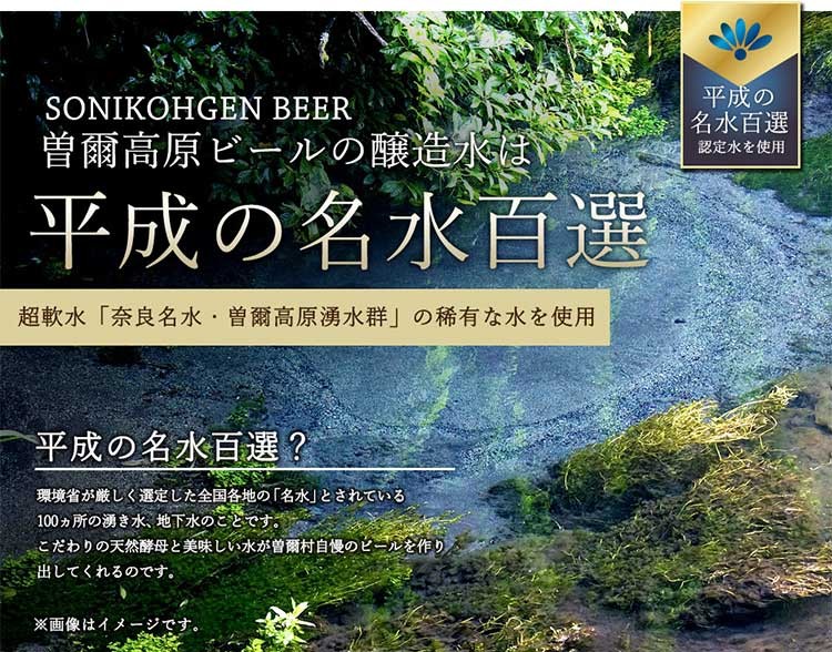 クラフトビール YOROIアルト