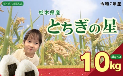 とちぎの星 10kg（5kg×2袋） | 米 こめ コメ kome 白米 精米 お米 とちぎのほし トチギノホシ ﾄﾁｷﾞﾉﾎｼ 粘り 弾力 冷めても美味しい 丼もの カレー 栃木米 令和7年度米 令和7年度 2025年度米 2025年度 ブランド米 栃木県 特産品 送料無料 【栃木県共通返礼品】 栃木県 下野市 しもつけ市