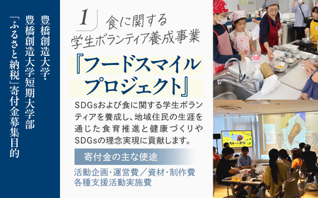 ≪返礼品無し≫【豊橋創造大学】豊橋市大学応援寄附 5000円 大学寄附 愛知県豊橋市への寄附 返礼品無し 寄附のみ 豊橋市 穂の国 東三河 5000円 ポッキリ 愛知県 豊橋市