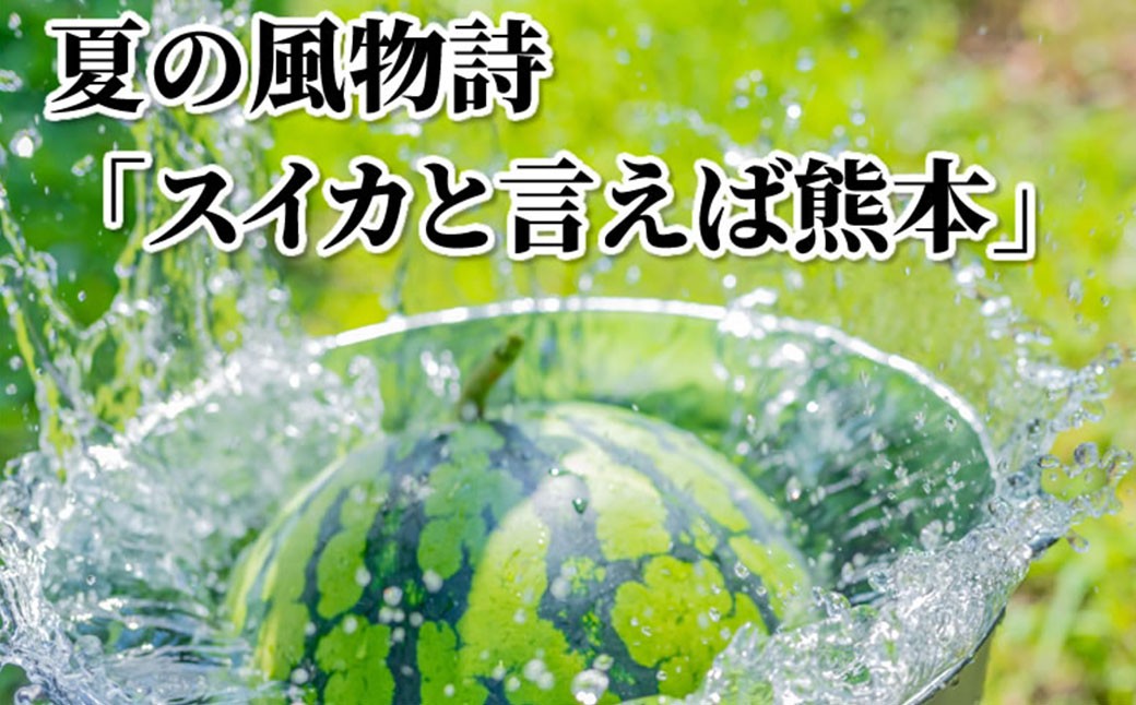 訳あり 小玉すいか 2玉 （約2～3kg）