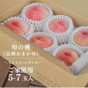 【きよとうファーム】珍しい品種の桃 もも好きのあなたに 旬採り桃 ご家庭用/5-7玉(岡山県産)【配送不可地域：離島】【1571590】