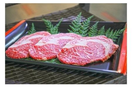 嘉穂牛 【 リブロース ステーキ 】約500g ブランド牛 牛肉