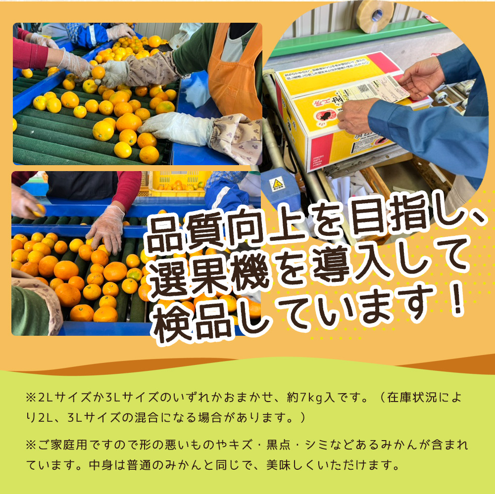 ZJ6084_【2025年先行予約】ご家庭用　和歌山有田みかん 約5kg (2L、3Lサイズいずれか)【湯浅町】