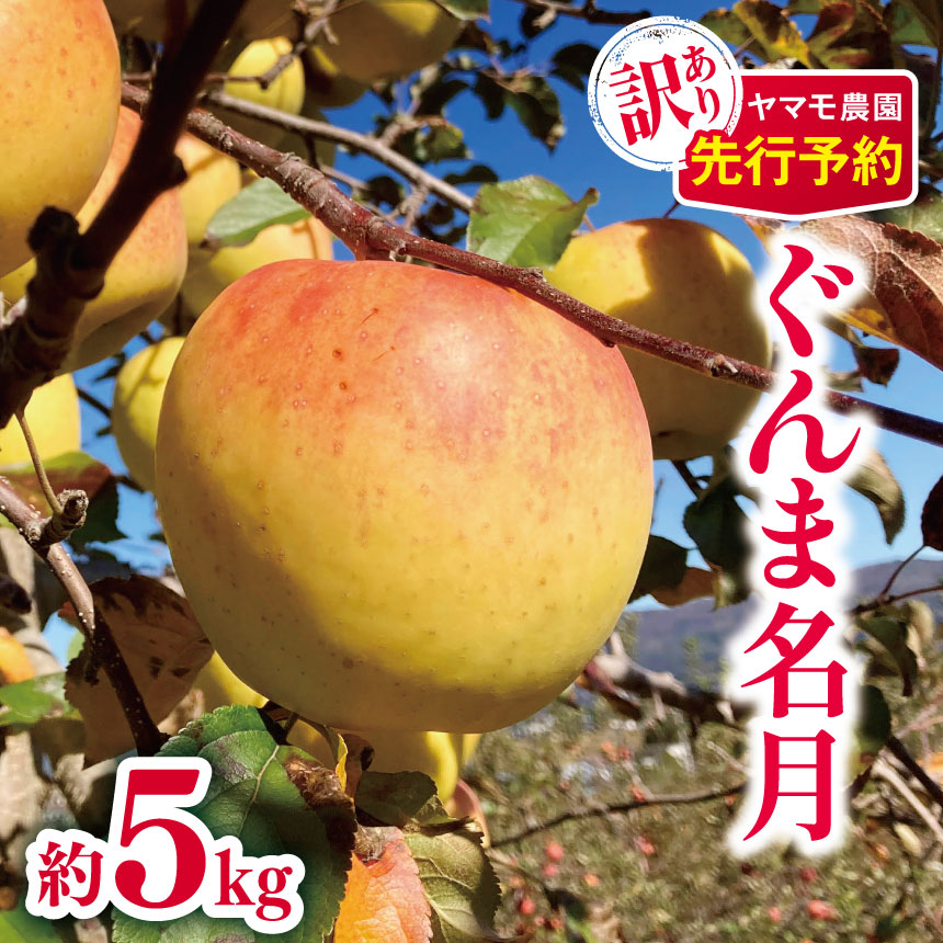 【ふるさと納税】*訳あり ぐんま名月 約5kg 【2025年先行予約】 | ヤマモ農園 果物 フルーツ りんご リンゴ 林檎 ぐんま名月 訳あり 長野県 松川村 信州