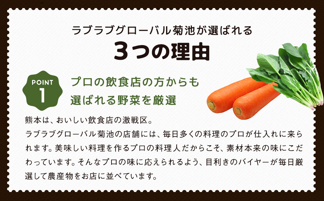 【2022年9月上旬発送開始・3回定期便】阿蘇の伏流水をたっぷり含んだお野菜詰め合わせ 8品～10品