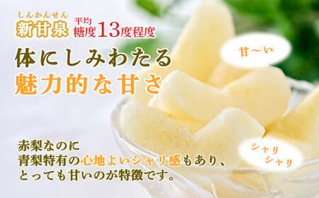 梨 新甘泉 二十世紀梨 食べ比べ 5kg (生橋農園)  鳥取県産