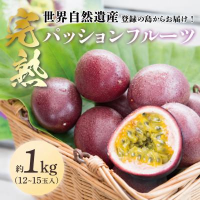 ふるさと納税 奄美市 2027年発送《奄美大島産パッションフルーツ》バラ詰め約1kg(12~15玉入り)