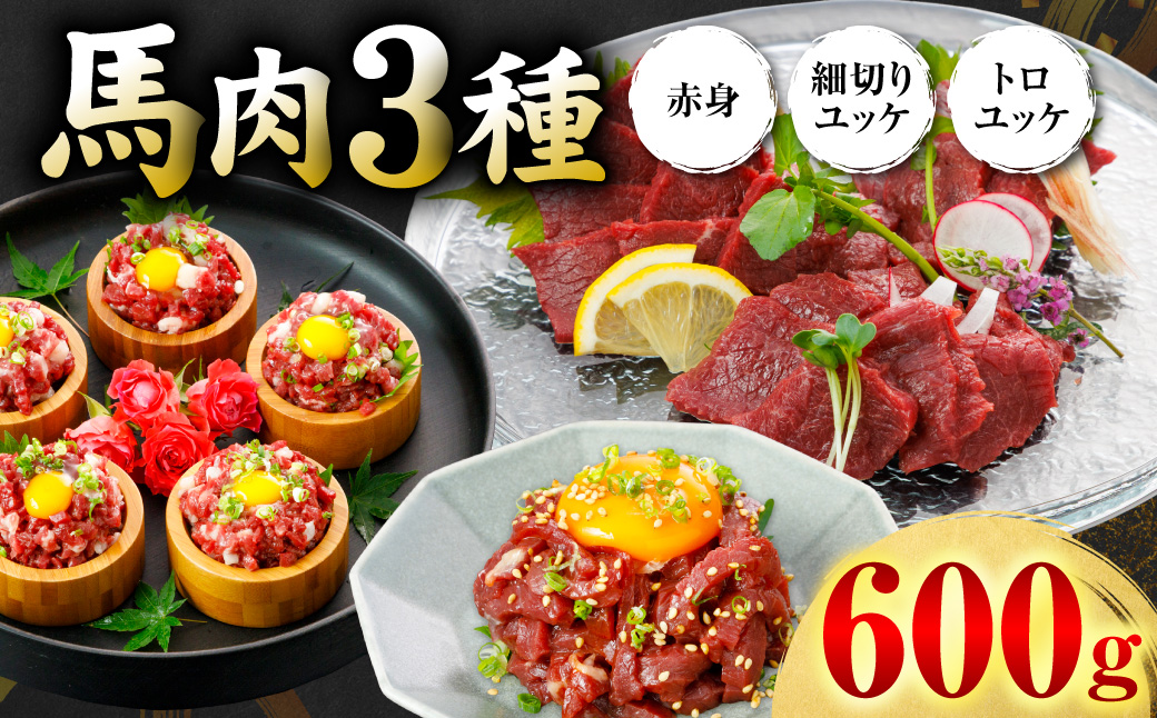 馬肉 3種600g  (赤身200g、トロユッケ200g、細切りユッケ200g) 馬 馬焼き レア ユッケ 冷凍 新感覚 特殊加工 熟成 加熱加工 低温調理 熊本県 八代市