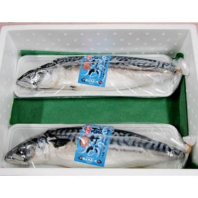 ふるさと納税 与謝野町 橋立やまいち自慢　旨みたっぷりふっくら塩サバ(大)×2本