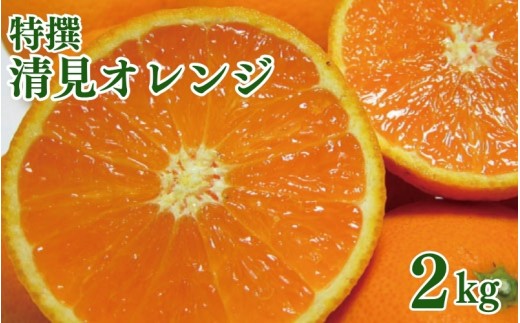 特撰　清見オレンジ 2kg+200g(補償分)【2027年2月下旬～5月上旬頃に順次発送予定】【ard238A】