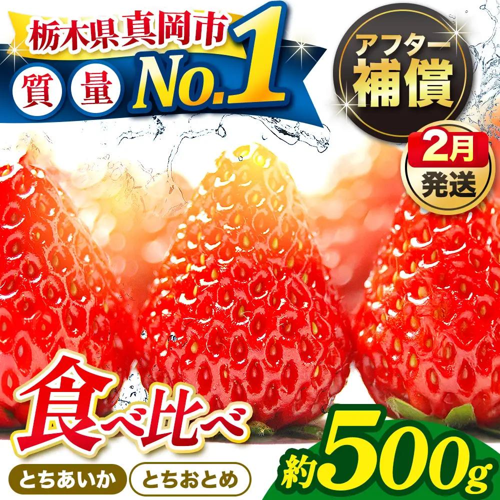 【先行予約受付中】【2027年2月発送】いちご とちおとめ・とちあいか 食べ比べ 500g