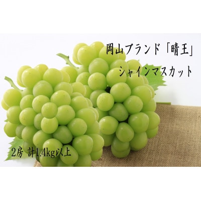 【2026年9月上旬より発送】岡山県産　秋のシャインマスカット「晴王」2房(1.4kg以上)【配送不可地域：離島】【1365005】