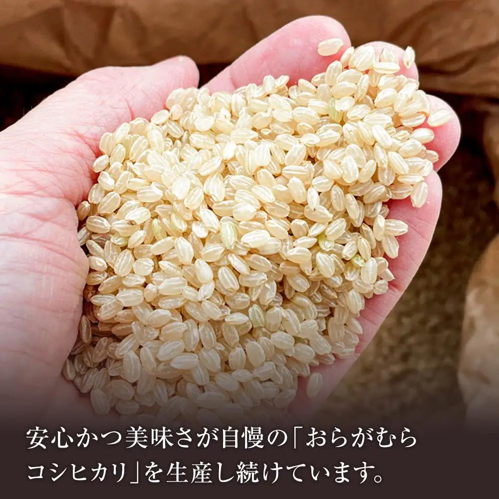 【予約受付】【令和８年米】長野県宮田村産コシヒカリ／玄米／30kg・54,000円／令和９年2月配送