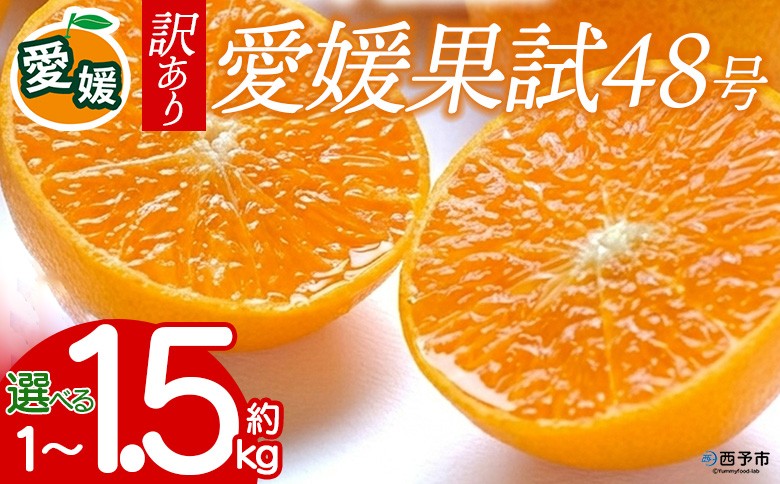 
                  【先行予約】＜訳あり 愛媛県産 愛媛果試48号 約1kg／1.5kg＞『2027年3月以降順次出荷予定』選べる 紅プリンセス ご家庭用 ご自宅用 高級柑橘 希少 果物 柑橘 フルーツ 高級 国産 濃厚 果汁 産地直送 特産品 ミヤモトオレンジガーデン 愛媛県 西予市【常温】
                