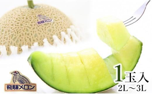 【数量限定】飛騨メロン 1玉 2L～3Lサイズ (約1.5kg)  化粧箱入 21-326 7月下旬まで受付 CY032-26