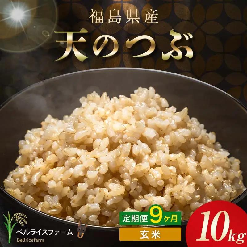 〈先行予約〉令和8年産【お米の定期便】9ヶ月配送 農家直送 ベルライスファーム 天のつぶ 玄米 10kg F6U-506