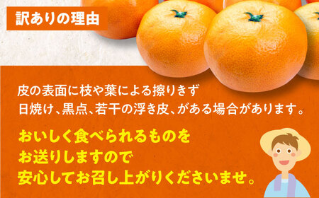 【全2回定期便】【11月中旬と12月中の2回発送】【ちょっと訳あり】温州みかん 10kg 2回 定期便 愛媛県大洲市/有限会社カーム/カームシトラス[AGBW008]みかんミカン愛媛みかんみかんミカン