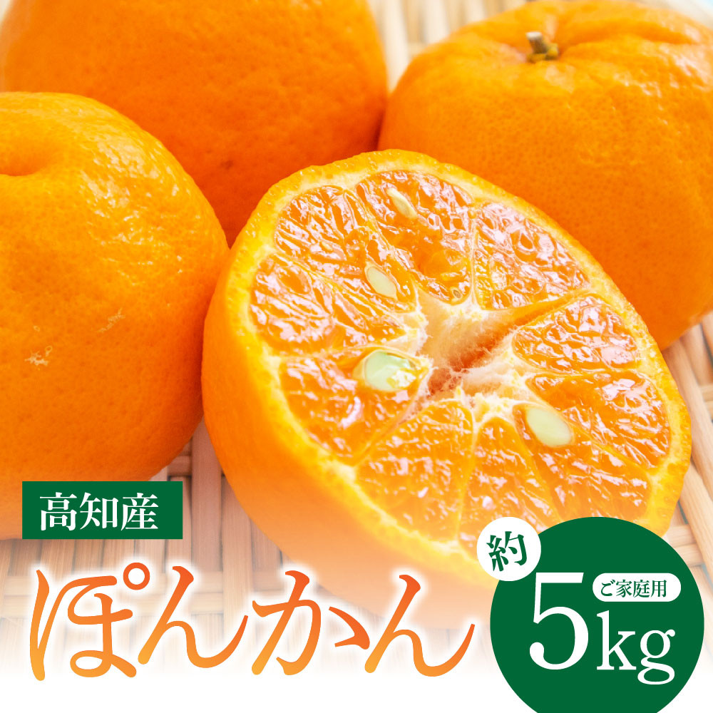
            “高知県産”ご家庭用ぽんかん（約5kg）〈須崎市共通返礼品〉
          
