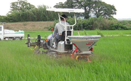 【先行予約・25年11月以降順次発送】特別栽培米『榮米』きらみずき 2kg 栗東市 / AMAファミリーズ榮農場[BIAI022]