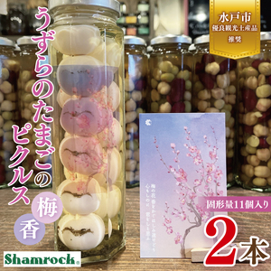 【水戸市有料観光土産品】Shamrock うずらのたまごのピクルス 梅香 ２本（FE-9）