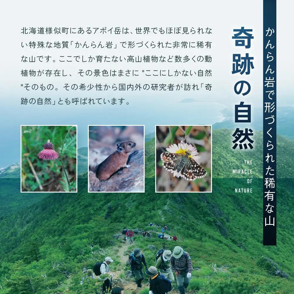 【返礼品なし】アポイ岳ファンクラブ自然保全活動応援　500,000円