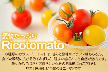 【先行予約】 カラフルミニトマト 『Ricotomato』 【1kg×4回定期便】 【2024年12月から出荷】 F-25