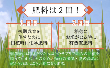 【3ヶ月連続お届け】令和5年度産 特別栽培米 コシヒカリ 4kg×3ヶ月（計12kg）[C-012001]