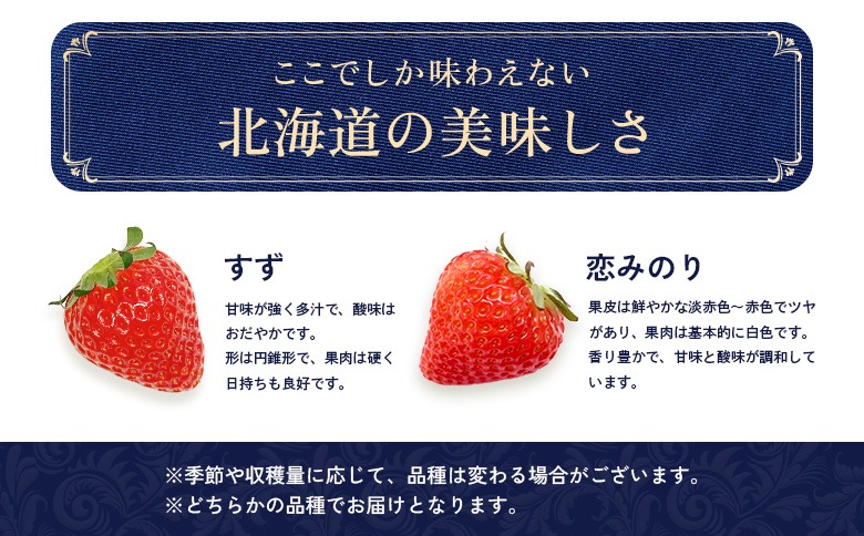 【2027年１月以降発送！】【北海道産】ゆきいちご（すずor恋みのり） ２Pセット 各250g×２ 計500g | 苺 いちご 一季成りイチゴ 希少 ギフト お取り寄せ ふるさと納税 北海道 中標津【59002AA0101】