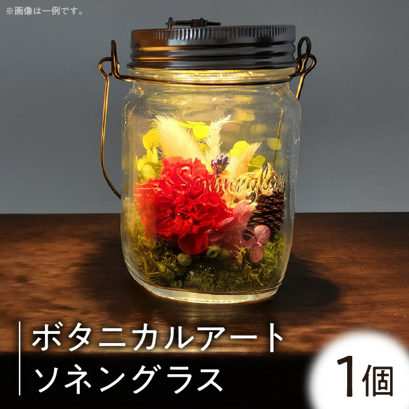 【ふるさと納税】ボタニカルアート ソネングラス