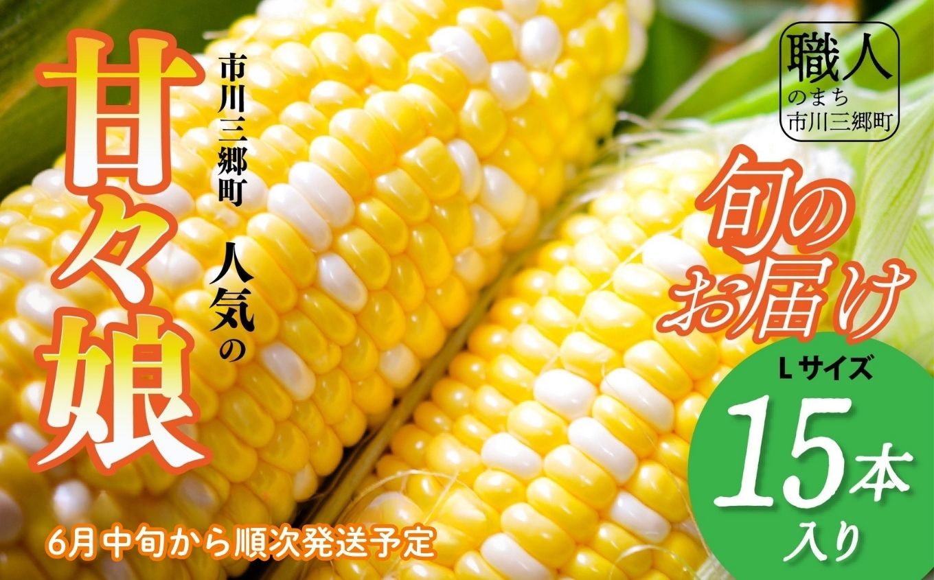 
                  甘々娘 Lサイズ１５本入り【2026年6月中旬から発送】岩下農園 人気 人気品種 トウモロコシ とうもろこし スイートコーン BBQ バーベキュー 焼き 茹で 夏野菜 野菜 高糖度 糖度 甘い 産地直送 新鮮 採れたて 朝採れ 贈答  特産品 山梨県 山梨 市川三郷町 市川三郷 [5839-1990]
                