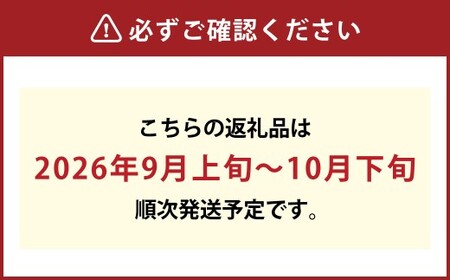岡山シャインマスカット 3～4房 約2キロ【2026年9月上旬～10月下旬まで順次発送予定】【シャインマスカット シャイン マスカット 人気フルーツ 岡山フルーツ おすすめフルーツ 岡山県 倉敷市】