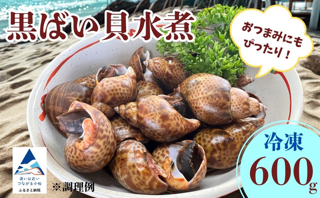 
                  【季節限定】黒ばい貝 水煮 (冷凍) 600g (200g×3袋) | 石川県 小松市 石川県漁業協同組合小松支所
                
