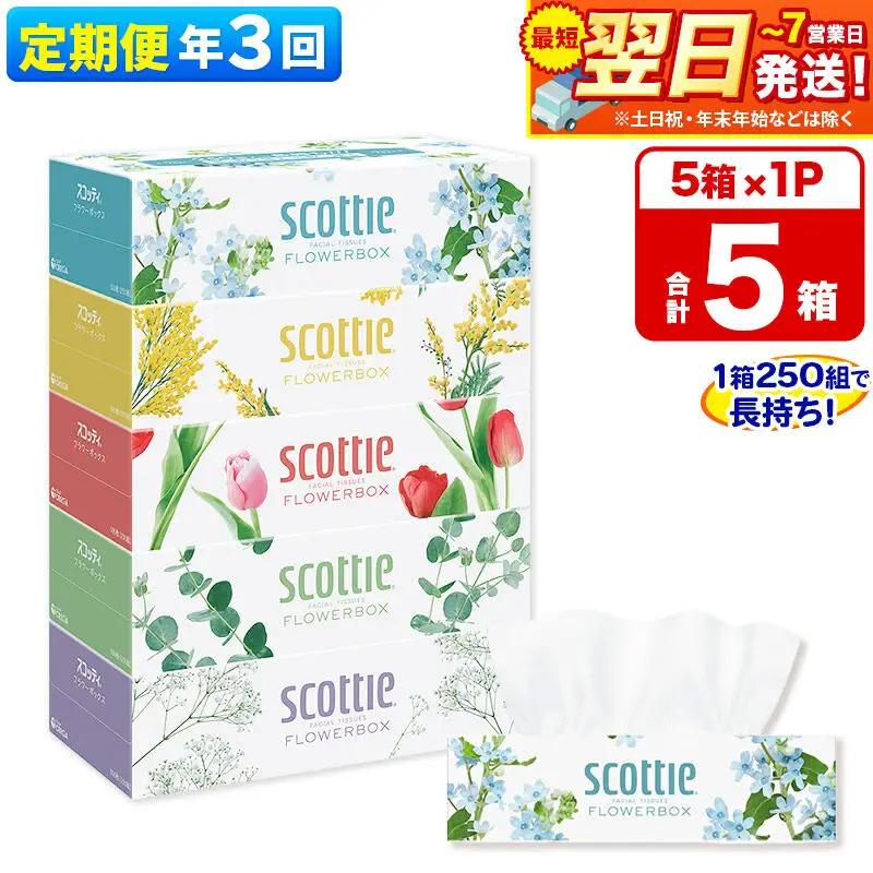 《4ヶ月ごとに3回お届け》定期便 ティッシュペーパー スコッティ ティシュー フラワーボックス 250組 5箱パック×1パック 秋田市オリジナル 最短翌日発送