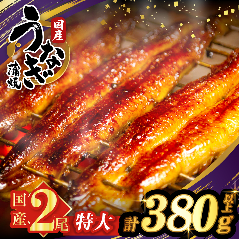 うなぎ蒲焼特大2尾(さんしょう・たれ付き)計380g以上_T026-0061【鰻 魚 魚介 加工品 国産 人気 ギフト 食品 おかず 惣菜 高級 お土産 贈り物 送料無料 プレゼント】