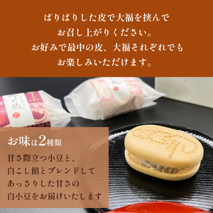 井上菓子舗 手作り最中 鰤大敷 10個