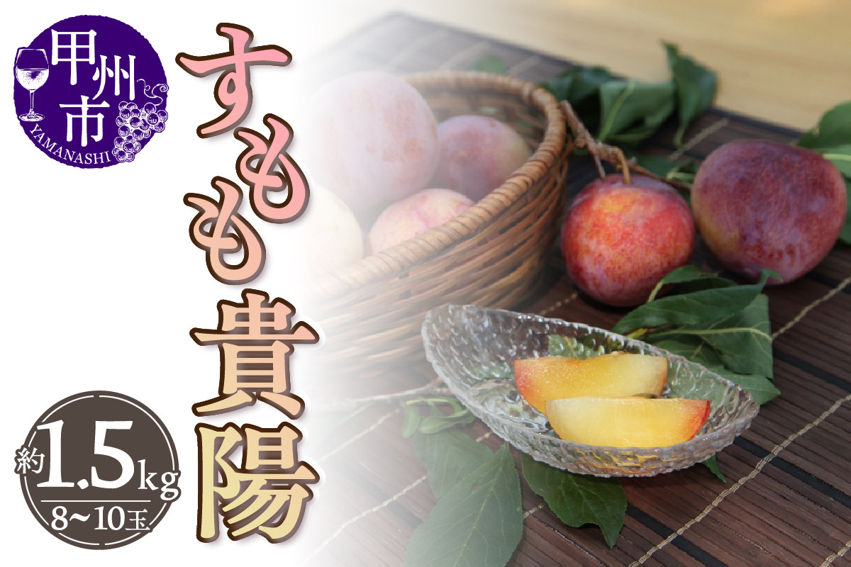 
            厳選！山梨県甲州市産すもも 貴陽 約1.5kg（8～10玉）【2025年発送】（THR）B13-810 【貴陽 すもも スモモ 令和7年発送 期間限定 山梨県産 甲州市 フルーツ 果物】
          