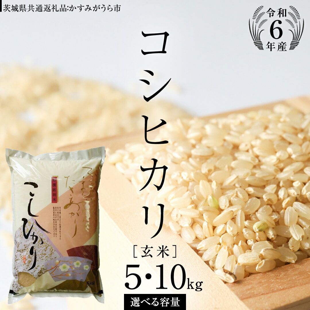 【ふるさと納税】《 令和6年産 》 コシヒカリ 玄米 5kg ～ 10kg ( 選べる 内容量 ) (茨城県共通返礼品 かすみがうら市) 米 ごはん もっちり 甘い コメ お米 玄米