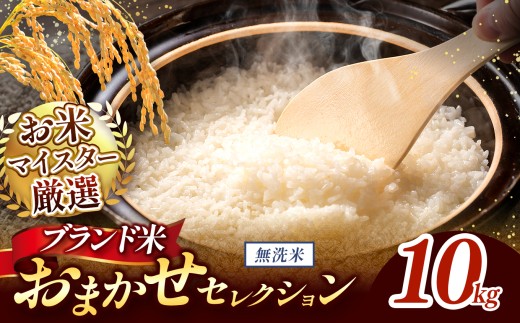 【 令和7年産 】おまかせ セレクション 熊本県産 無洗米  ＜ひのひかり / 森のくまさん / くまさんの輝き ＞ 10kg 単品 | 単一銘柄 米 単一米 お米 こめ 小分け 人気 コメ お米 5kg 10kg 15kg 20kg 25kg 30kg ブランド米 菊池川流域 家庭用 送料無料 熊本 くまもと 熊本県 和水 和水町 人気 ごはん