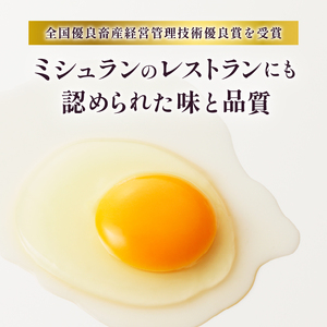 【3ヶ月定期便】 ミシュラン たまご 40個×3ヶ月 計120個 卵 2種類 詰め合わせ 高級卵 濃厚鶏卵 新鮮 卵かけご飯 人気 美味しい