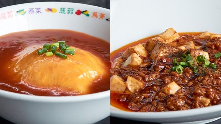 専門店 の 本格 中華 9種 詰め合わせ セット [BK001sa]