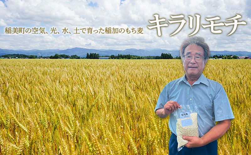 稲加のもち麦 キラリモチ 2kg もちむぎ もち麦 国産 大麦 食物繊維 低糖質 高タンパク 健康 健康食品 ダイエット 兵庫県産 兵庫 兵庫県 稲美町