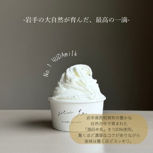イタリアンジェラート１２個セット アイス アイスクリーム イタリアン ジェラート ミルク チョコレート ピスタチオ ヘーゼルナッツ 詰め合わせ 岩手県 北上市 E0314 ジェラテリア イト スイーツ