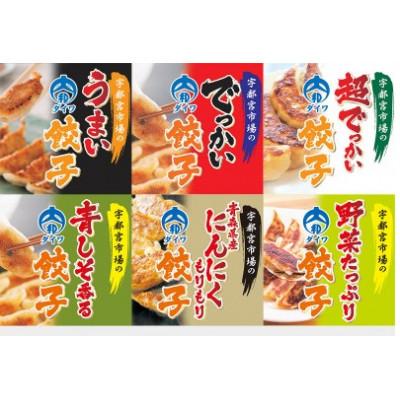 ふるさと納税 宇都宮市 宇都宮の餃子　食べ比べセットD