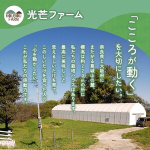 葛城市産生しいたけ（1kg） / 椎茸 シイタケ きのこ キノコ 生 国産 セット 新鮮 菌床 スライス 奈良県 葛城市【kobo001】