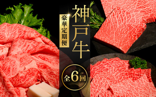 神戸牛ステーキ豪華定期便　全6回 ふるさと納税 牛肉 ブランド和牛 国産 和牛 神戸牛 神戸ビーフ 定期便 6回 ステーキ サーロイン モモ ヘレ 肩ロース 豪華 切り落とし もも 兵庫県 神戸 川西 川西市 KWNCI012