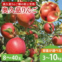 【ふるさと納税】【選べる】【2024年9月中旬頃配送開始】奥久慈りんご園の樹上完熟 奥久慈りんご 3kg（8～12玉）or 10kg（30～40玉）（AI003）