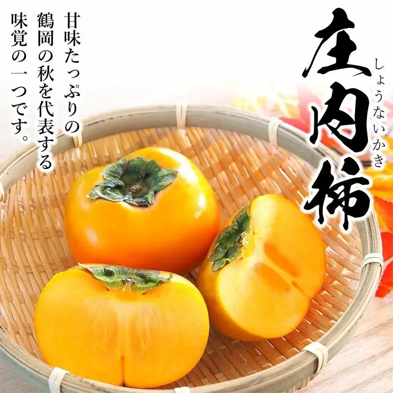 【令和8年産先行予約】 庄内柿 (L～4Lサイズ) 秀品 約5kg (25～31個) 山形県鶴岡市産　株式会社 元青果