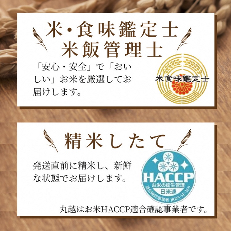 京都丹波産 こしひかり 5kg ※米食味鑑定士厳選 ※精米したてをお届け【京都伏見のお米問屋が精米】米 令和6年産 ※沖縄本島・離島への配送不可