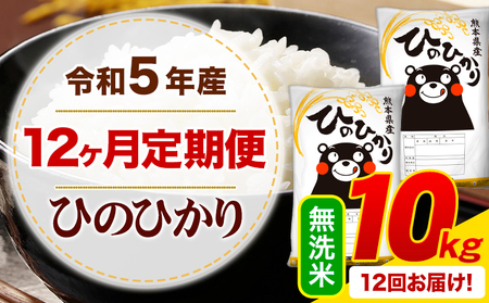 【12ヶ月定期便】令和6年産 新米 無洗米 ひのひかり 定期便 10kg《申込み翌月から発送》令和6年産 熊本県産 ふるさと納税 精米 ひの 米 こめ ふるさとのうぜい ヒノヒカリ コメ お米 hino